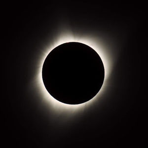 Meet your Posher, Erick